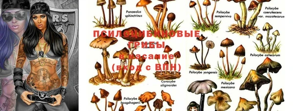 МДПВ Балабаново